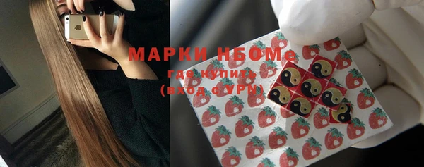 стафф Алзамай