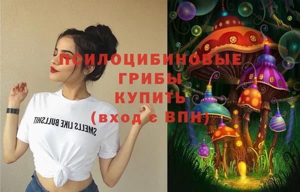 a pvp Алексеевка
