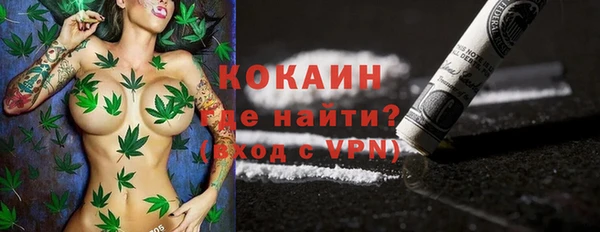 гашик Пересвет