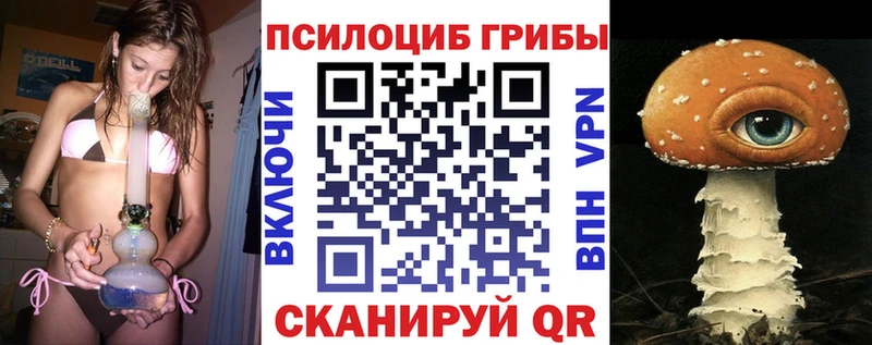 купить наркотики цена  Мензелинск  Галлюциногенные грибы Magic Shrooms 